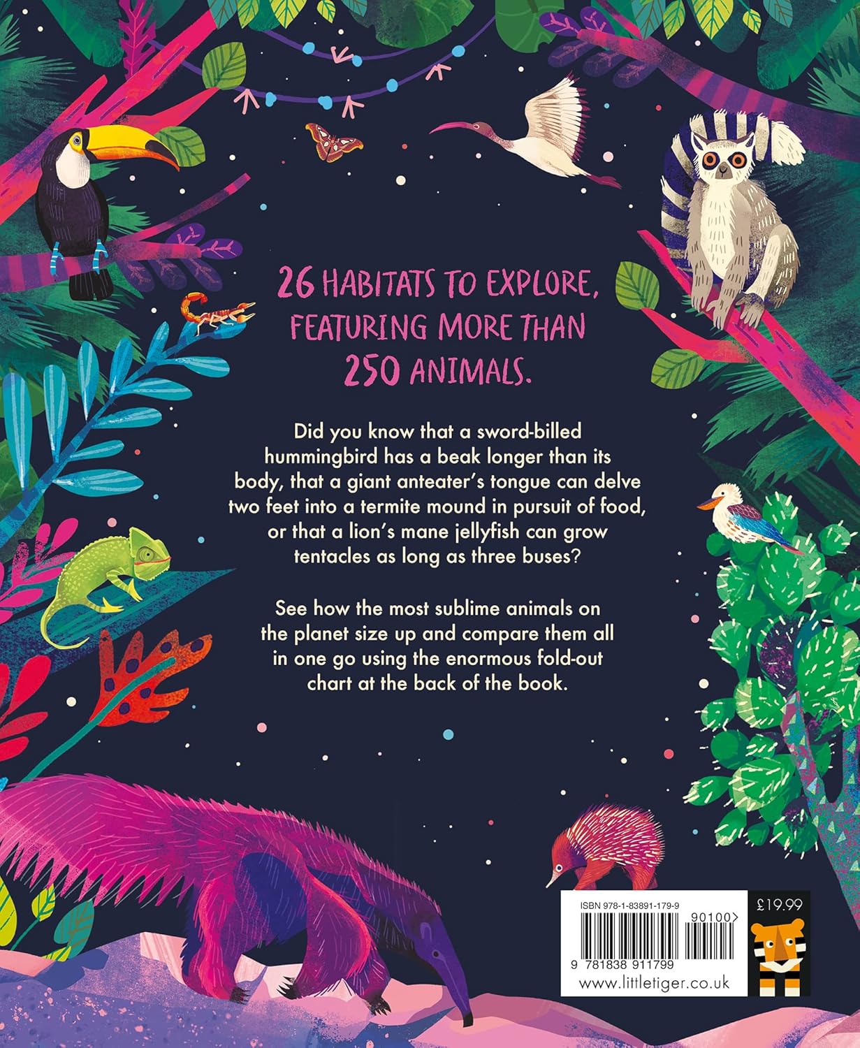 As Large As Life Back Cover Little Tiger Press Jonny Marx 9781838911799