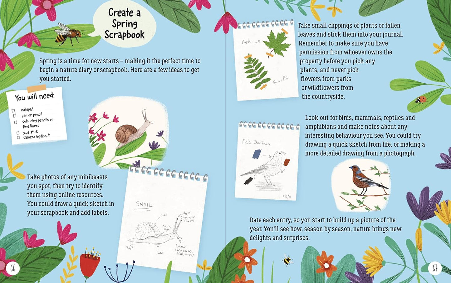 Explore Nature Inside Emily Hibbs Scholastic 9780702302497