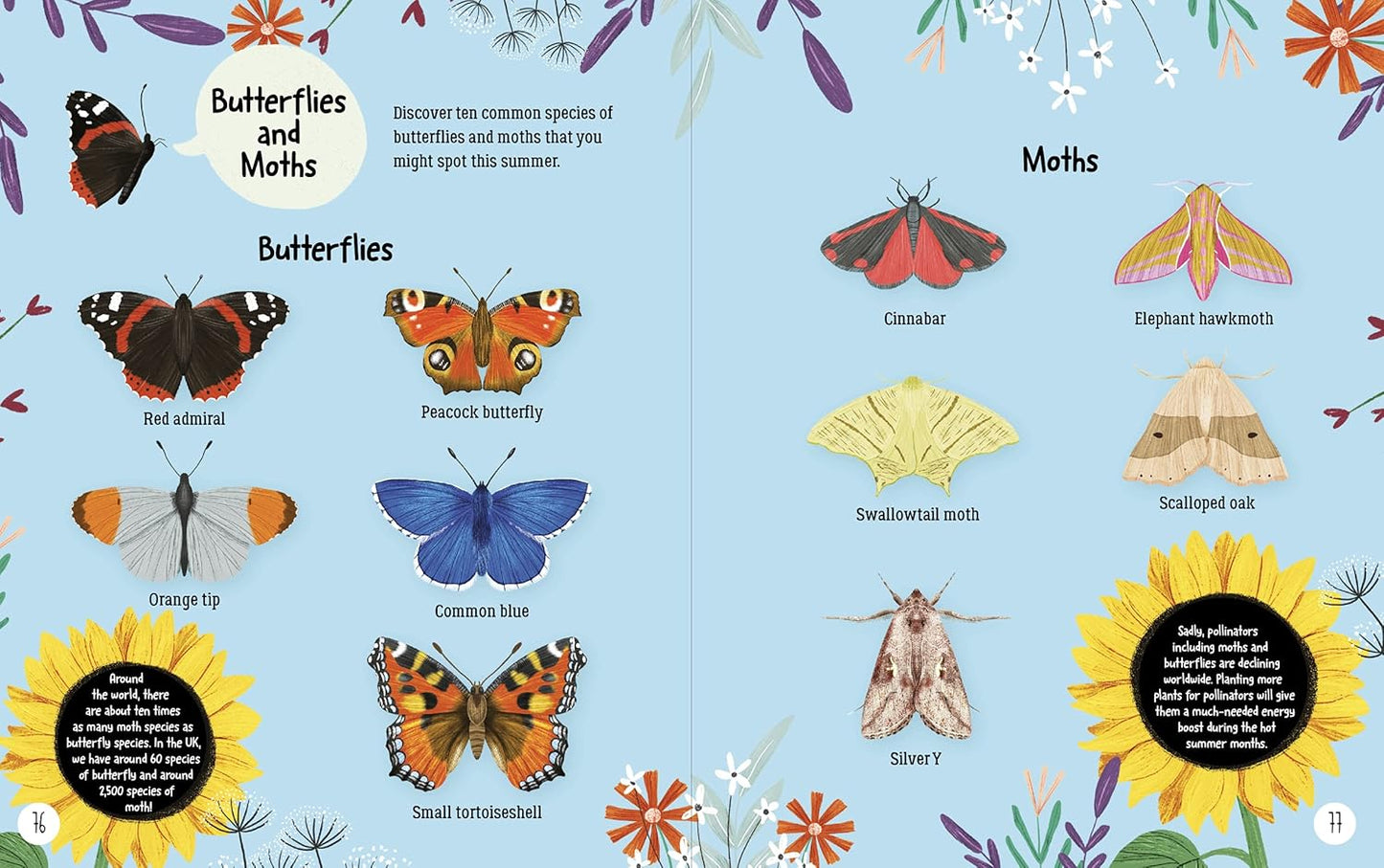 Explore Nature Pages Emily Hibbs Scholastic 9780702302497
