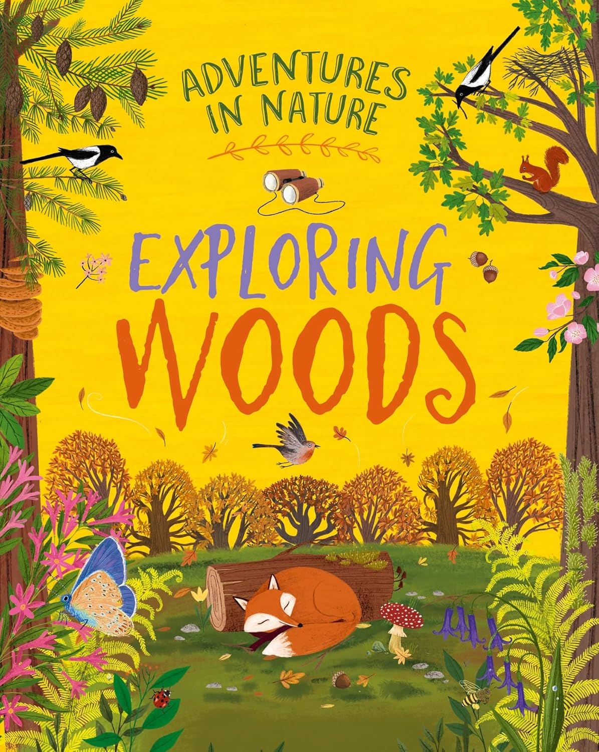 Exploring Woods Cover Jen Green Hachette 9781526327420