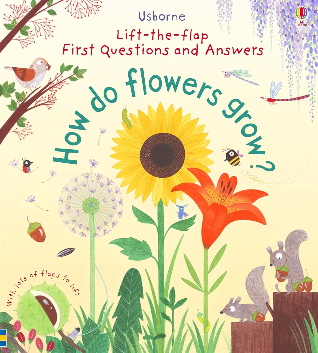 Flowers Grow Cover Katie Daynes Usborne 9781409582137