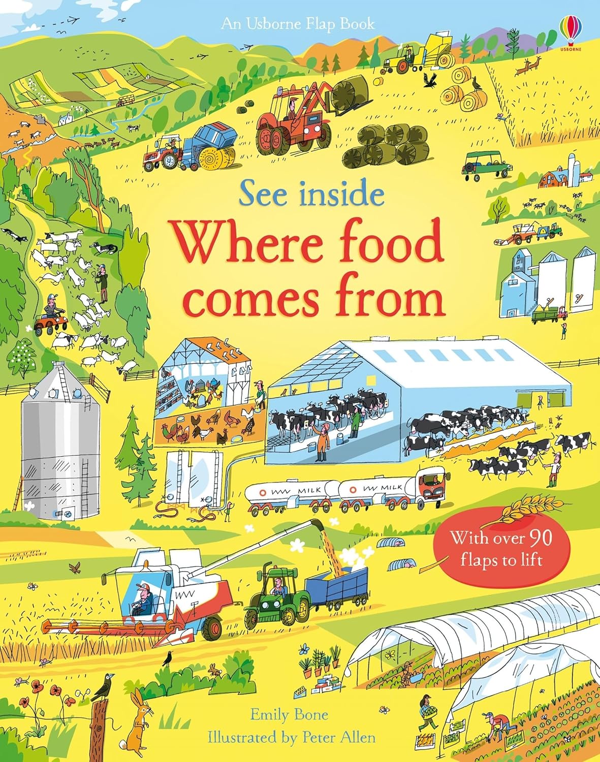 Food From Cover Emily Bone Usborne 9781409599203
