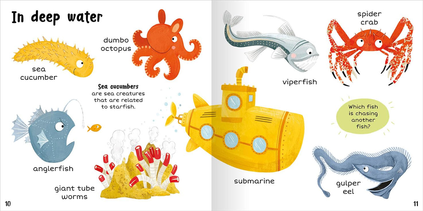 In the Sea Inside Becky Miles Published Miles Kelly 9781789895100