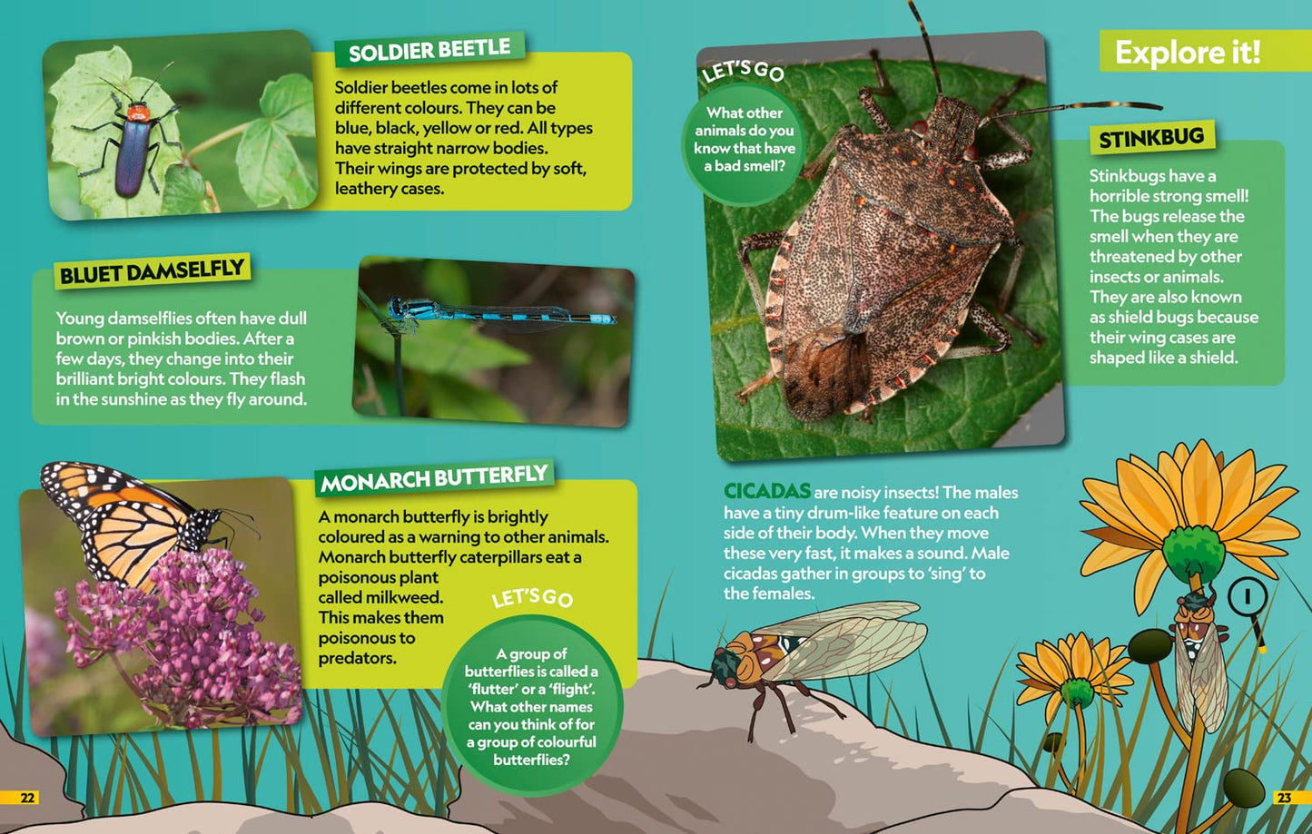 Insects Inside NGK HarperCollins 9780008554378