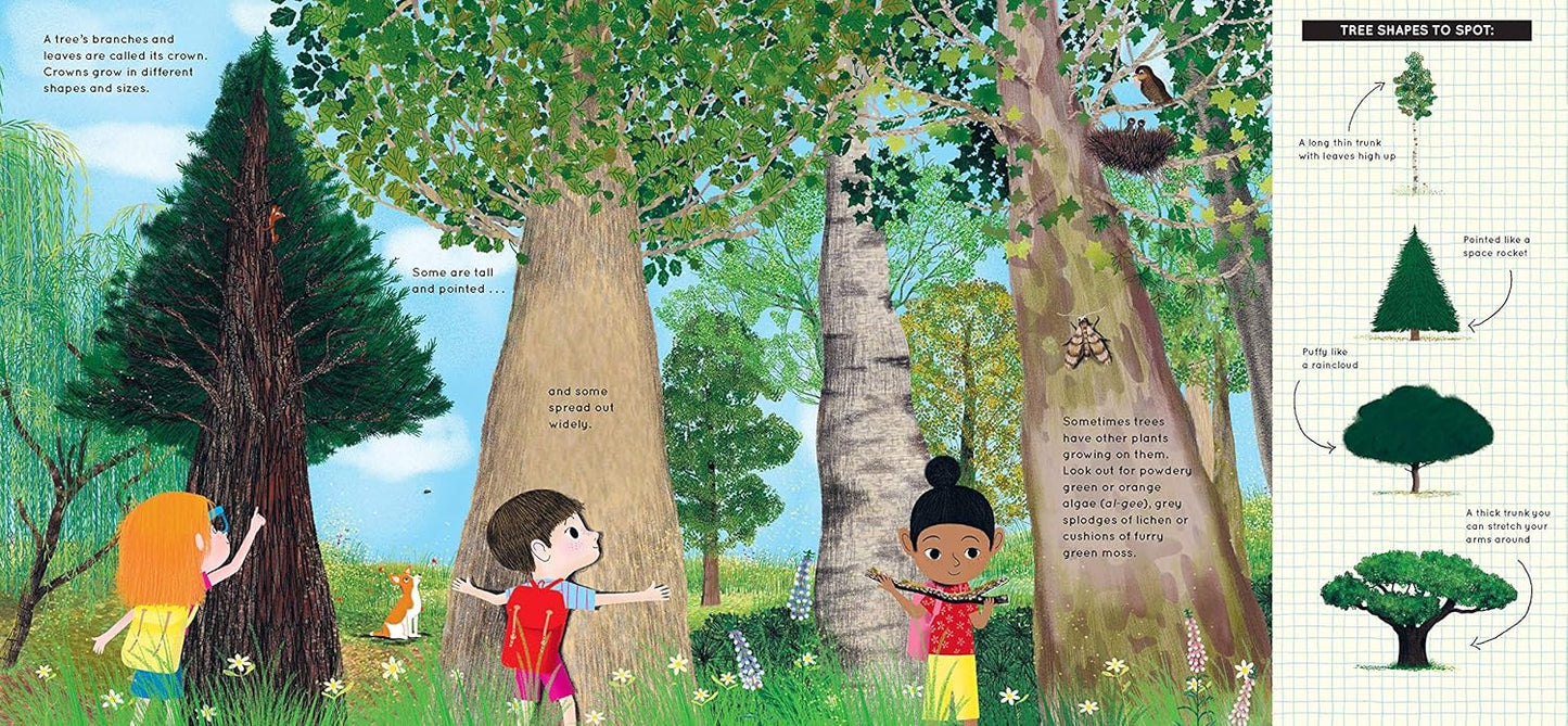 Look What I Found in the Woods Inside Nosy Crow Moira Butterfield 9781788005012