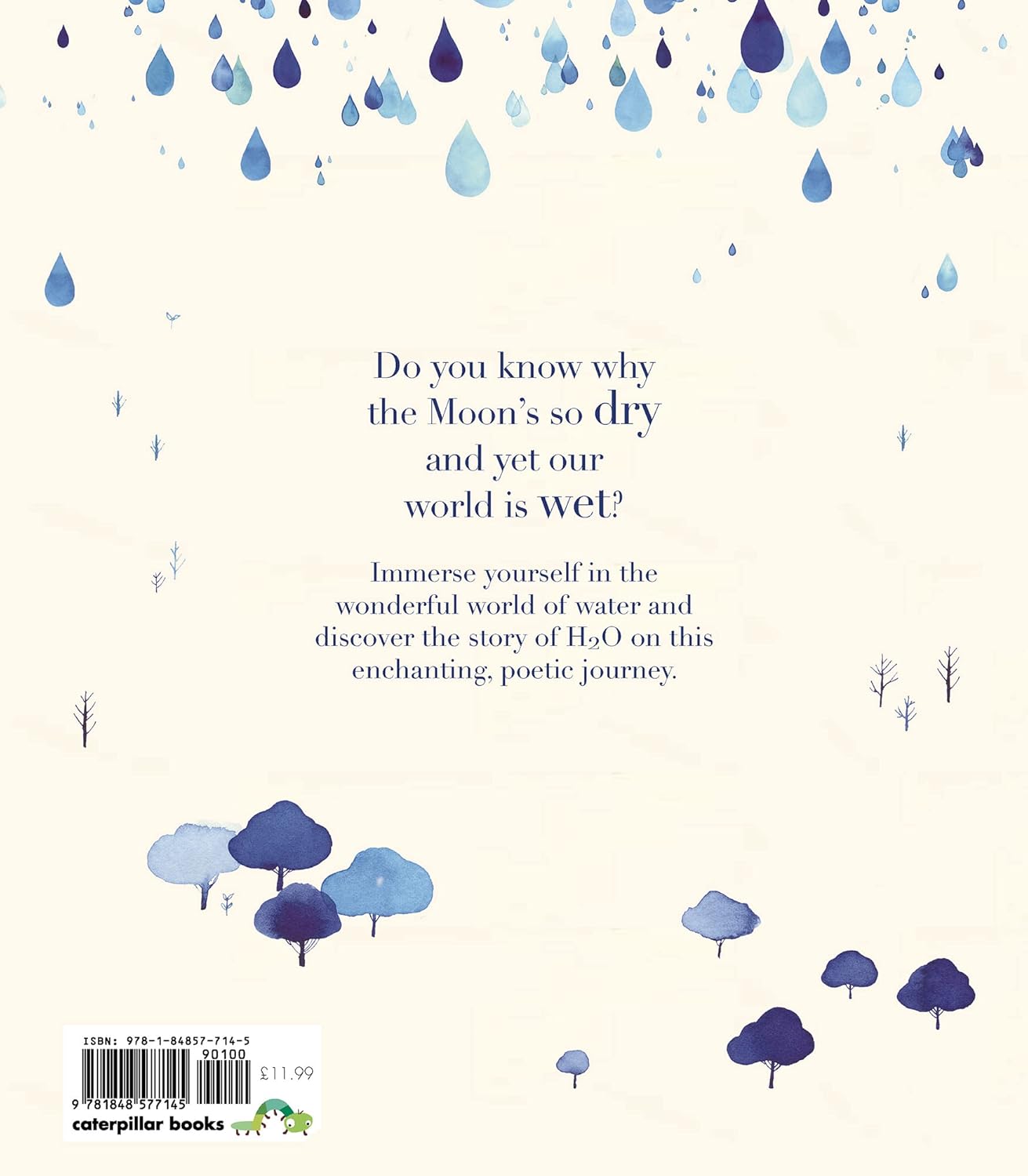Once Upon a Raindrop Back Cover Little Tiger Press James Carter 9781848577145