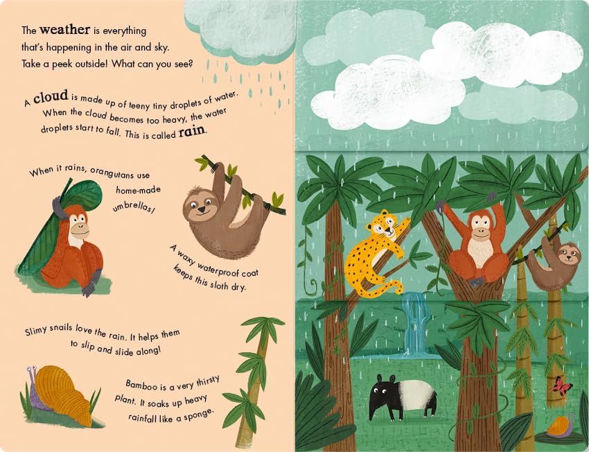 Rain & Shine Pages Nia Gould Little Tiger Press 9781801044578