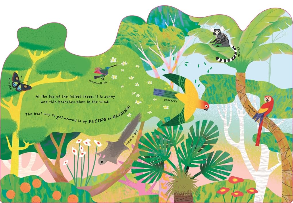 Rainforest Pages Natasha Durley Templar 9781800782266