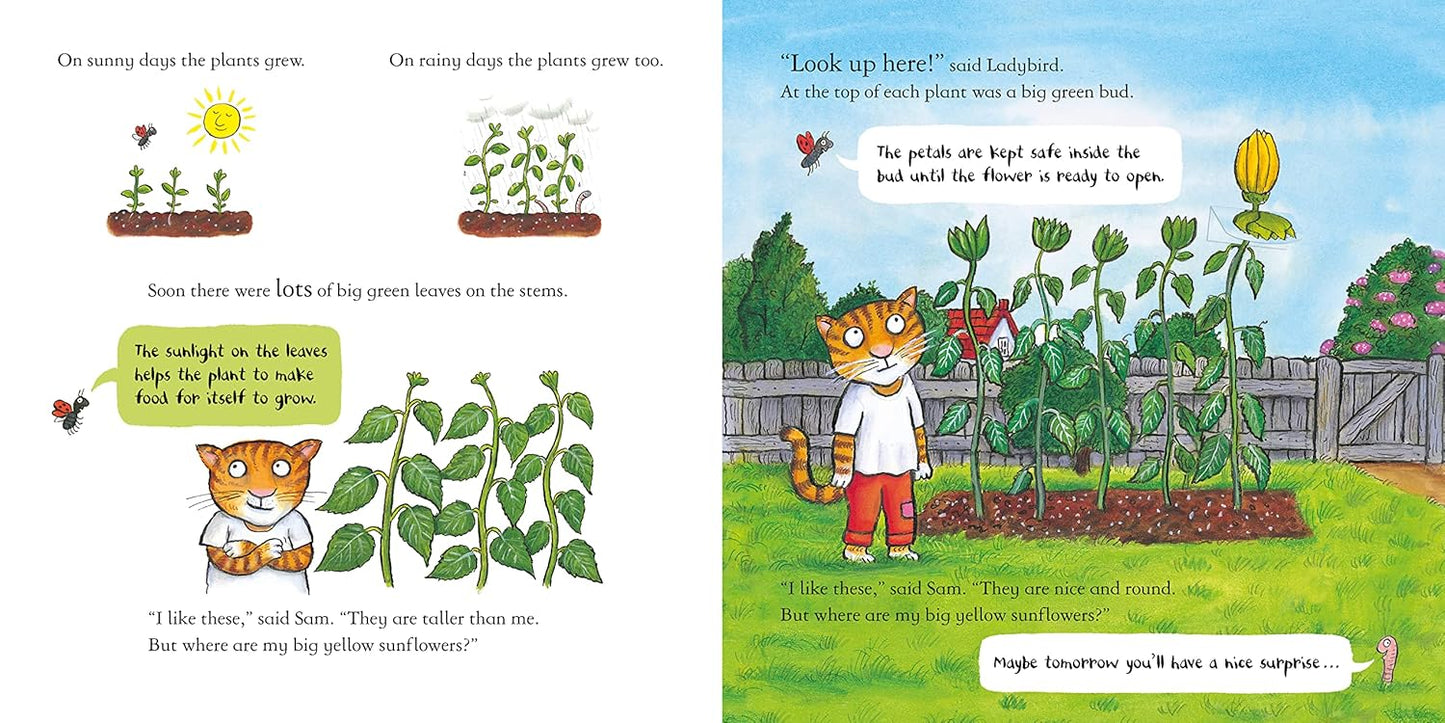 Sam Plants a Sunflower Inside Nosy Crow Axel Scheffler 9781839941733