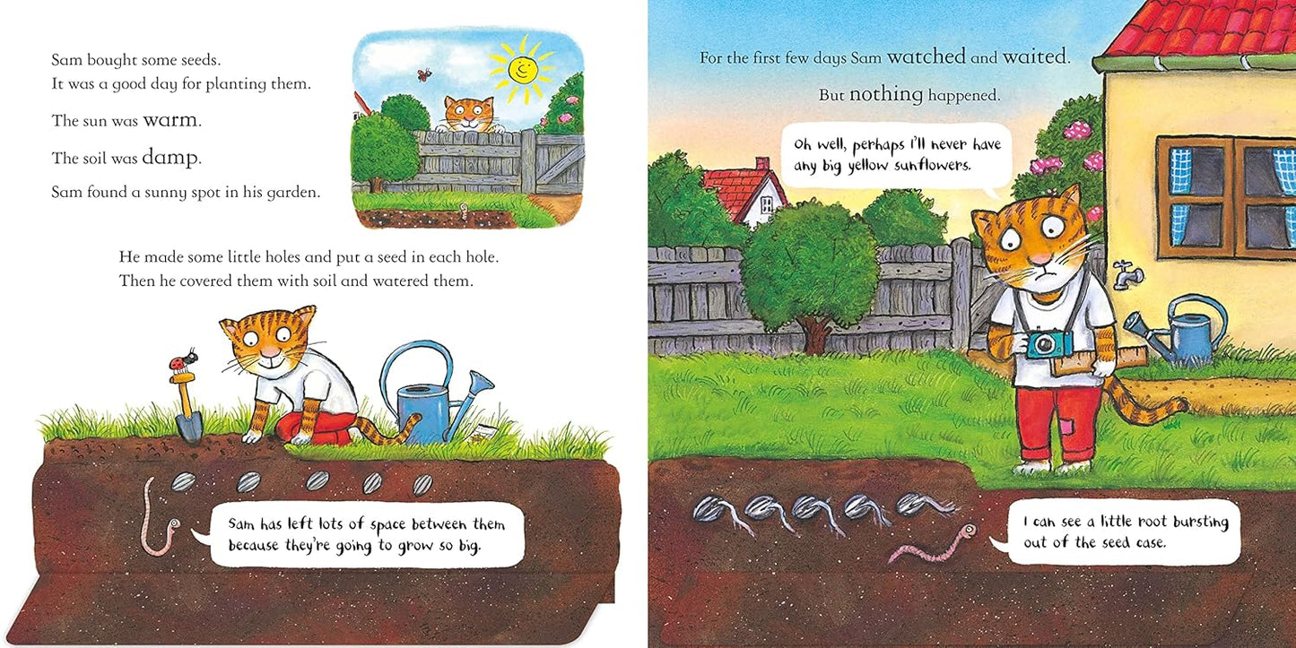 Sam Plants a Sunflower Pages Nosy Crow Axel Scheffler 9781839941733