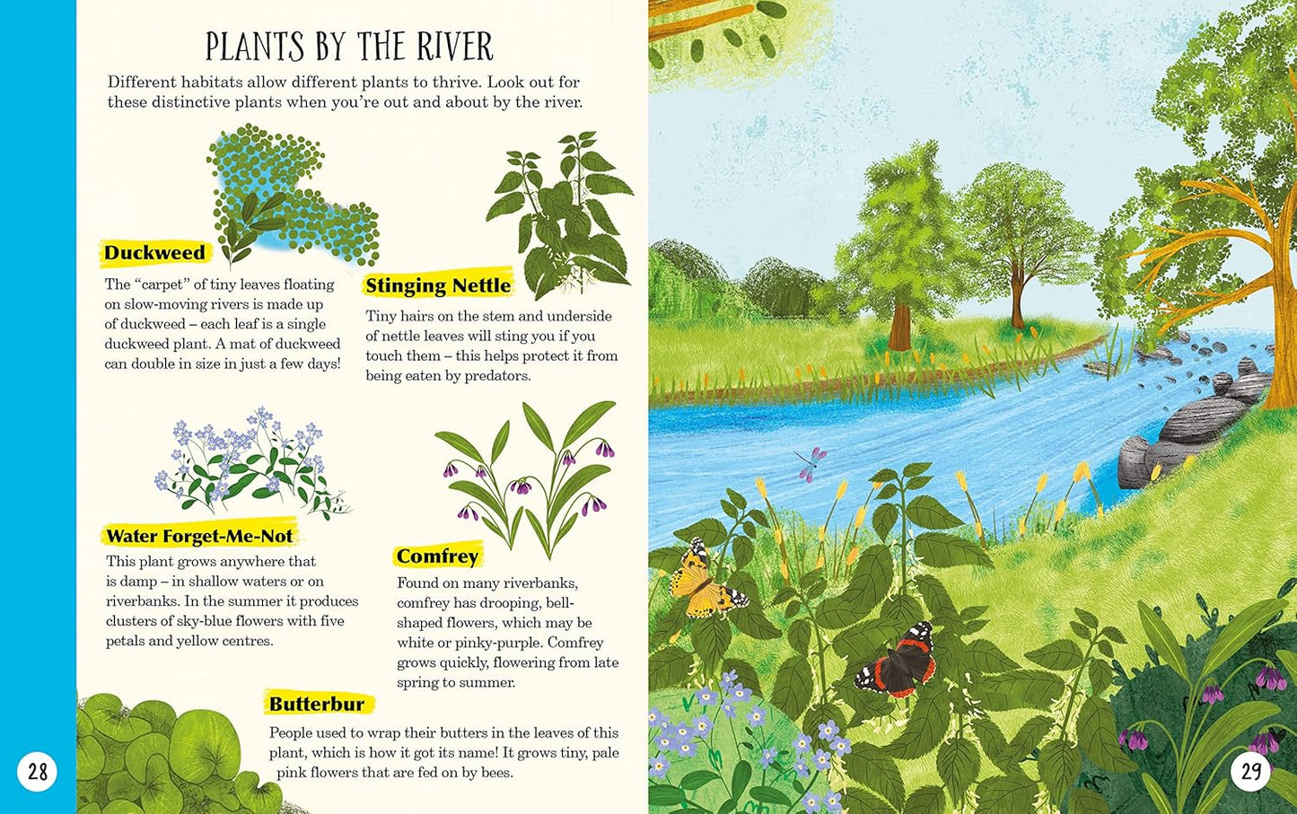 Sticks, Stars, Dens and Stones RHS Pages Scholastic 9780702314131