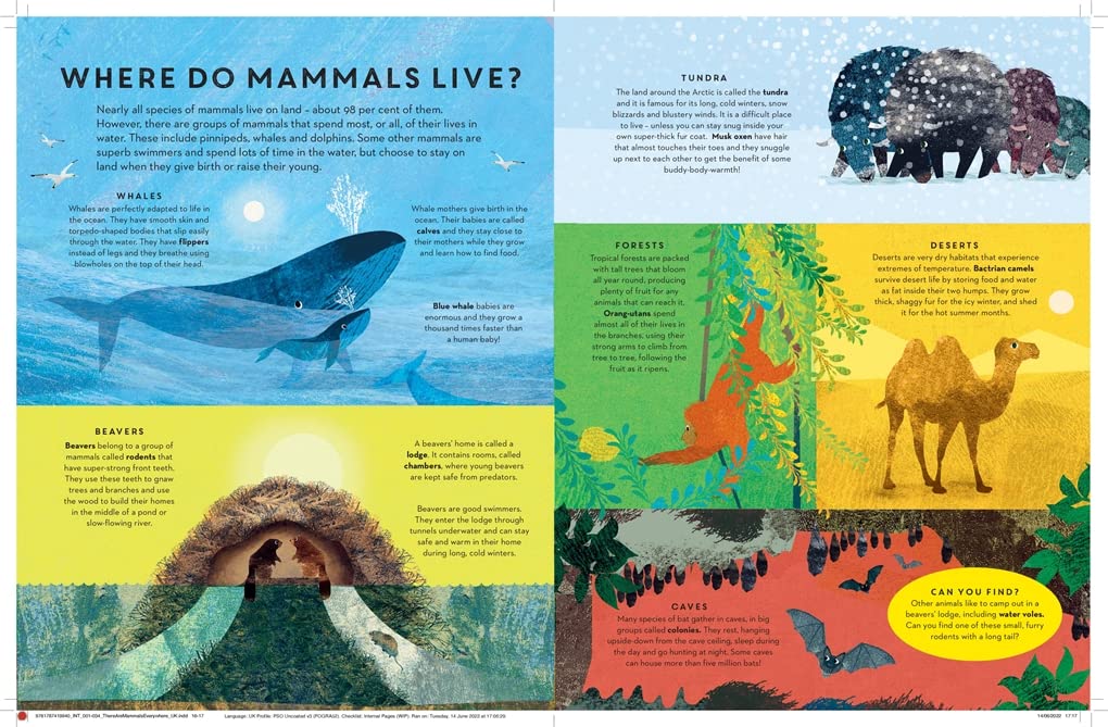 There are Mammals Everywhere Inside Templar Books Britta Teckentrup 9781787419940