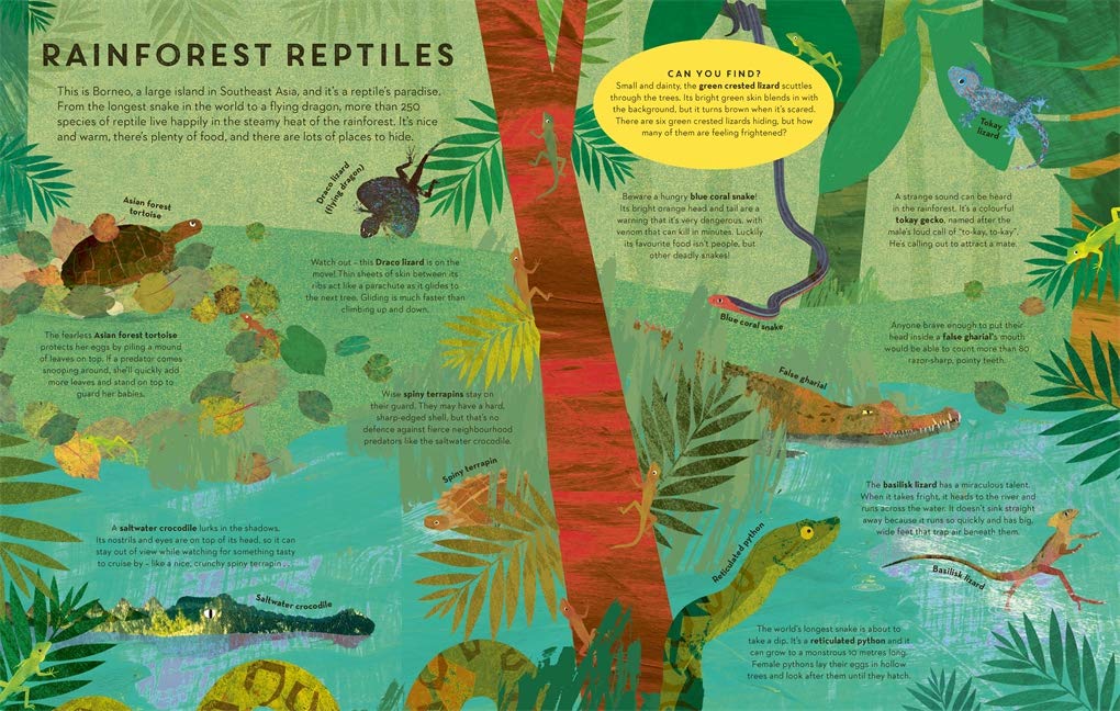 There are Reptiles Everywhere Inside Templar Books Britta Teckentrup 9781787419094