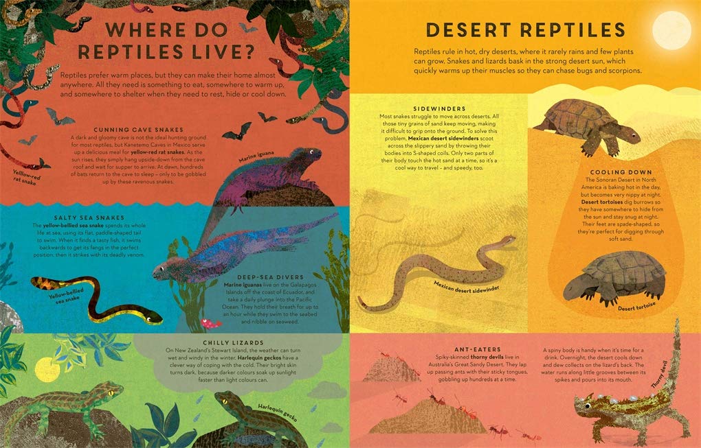 There are Reptiles Everywhere Pages Templar Books Britta Teckentrup 9781787419094