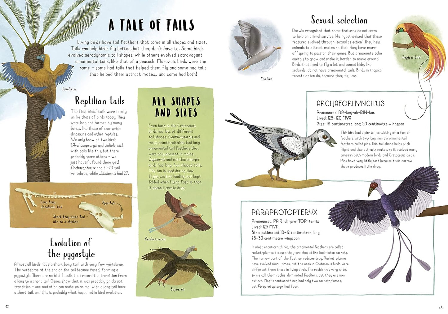 When Dinosaurs Conquered the Skies Pages Quarto Publishing 9780711275133