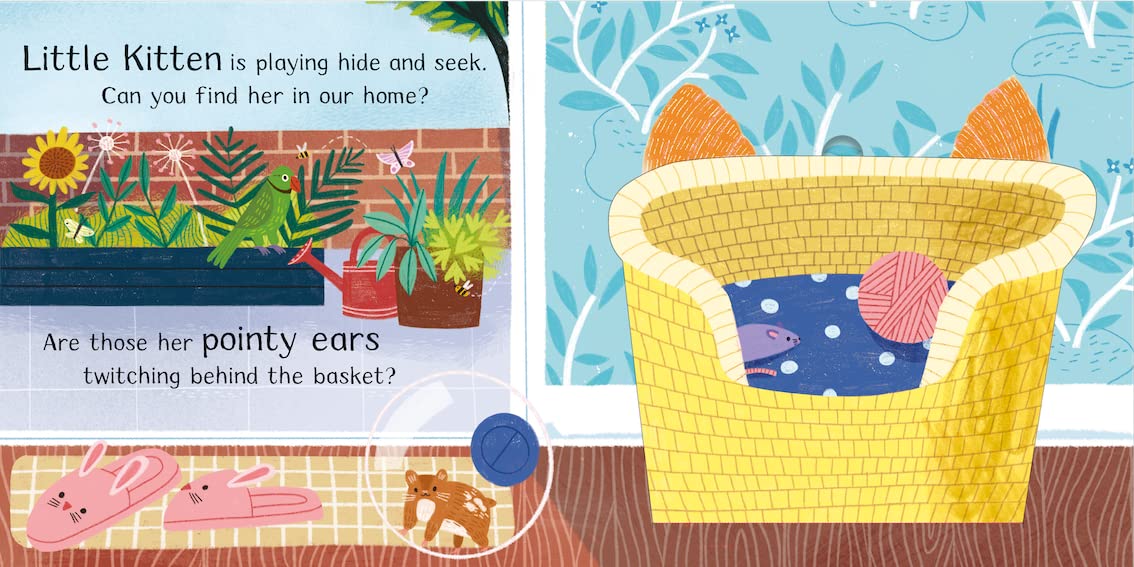 Where is little kitten? 9781529098419 Campbell illustrated by Hannah Abbo