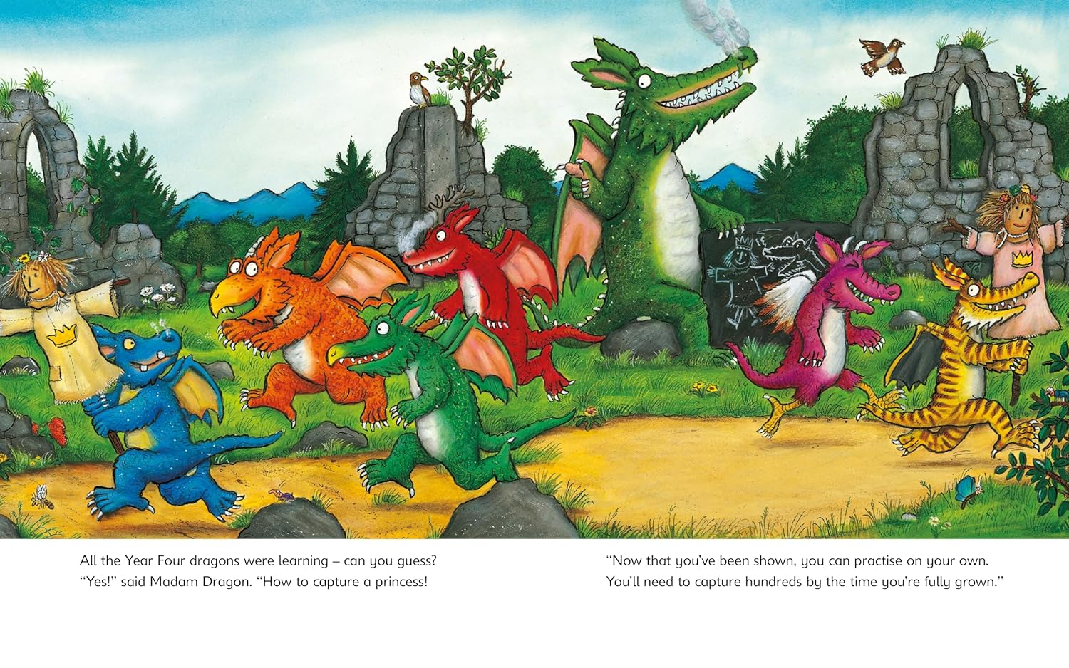 A Treasury Of Creatures Pages Julia Donaldson Scholastic 9781761649301