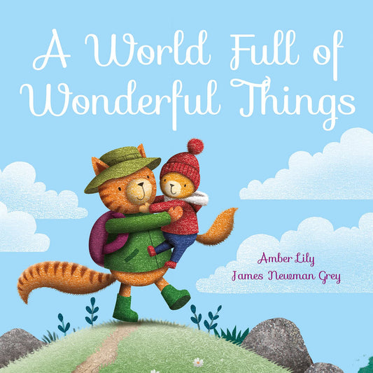 A World Full Of Wonderful Things Amber Lily Published Imagine That 9781789582611