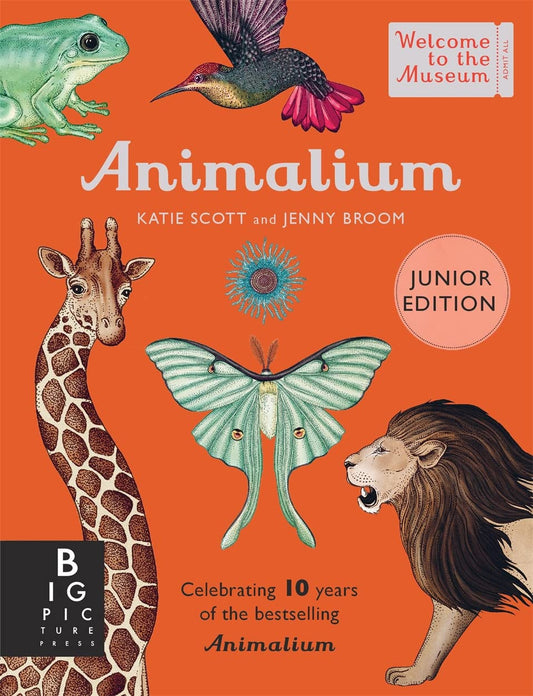 Animalium Cover Templar Books Jenny Broom 9781800783706