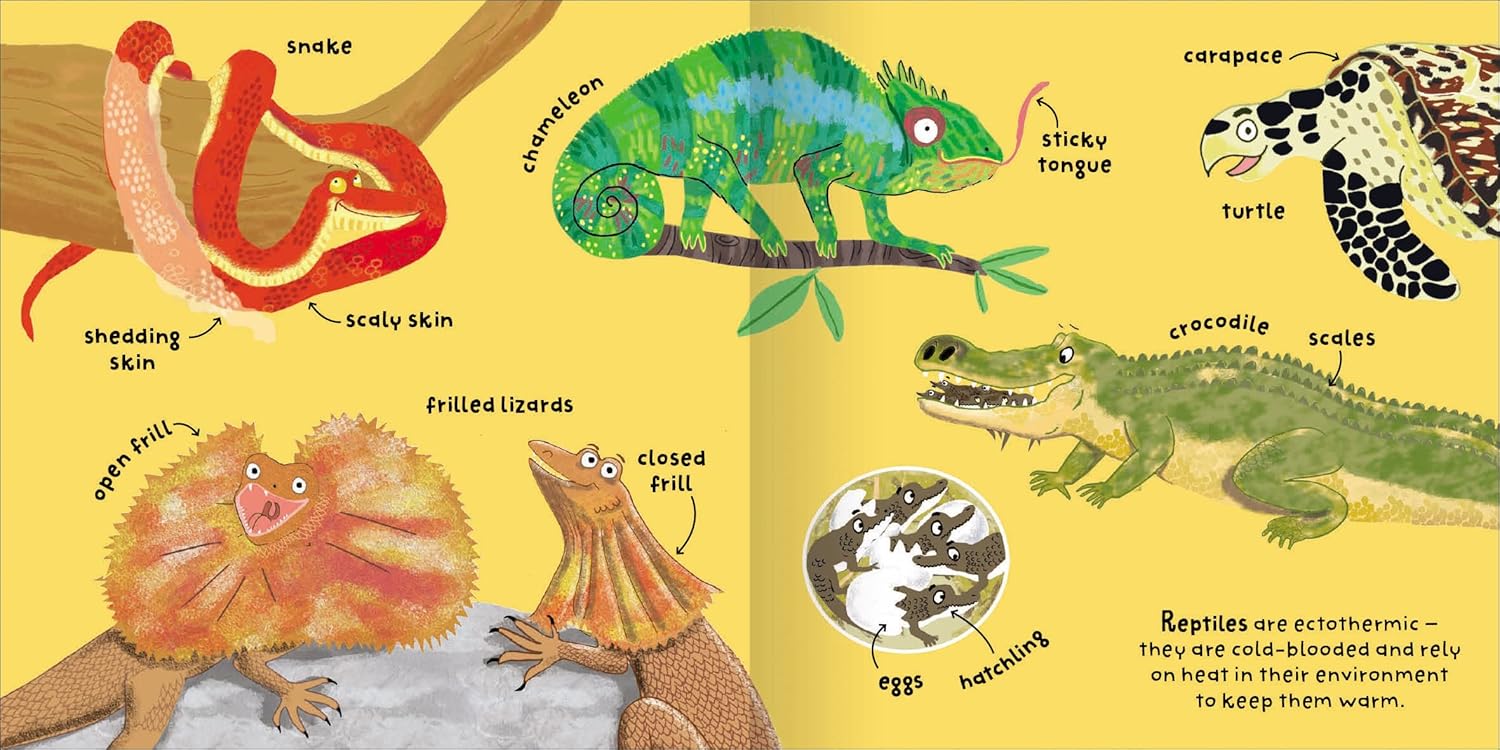 Animals Pages Fran Bromage Miles Kelly 9781789894912