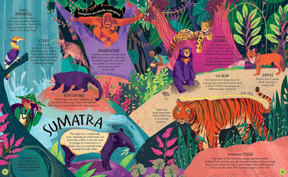 As Large As Life Pages Little Tiger Press Jonny Marx 9781838911799