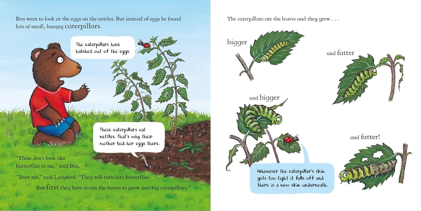 Ben Plants a Butterfly Garden Inside Nosy Crow Axel Scheffler 9781839941757