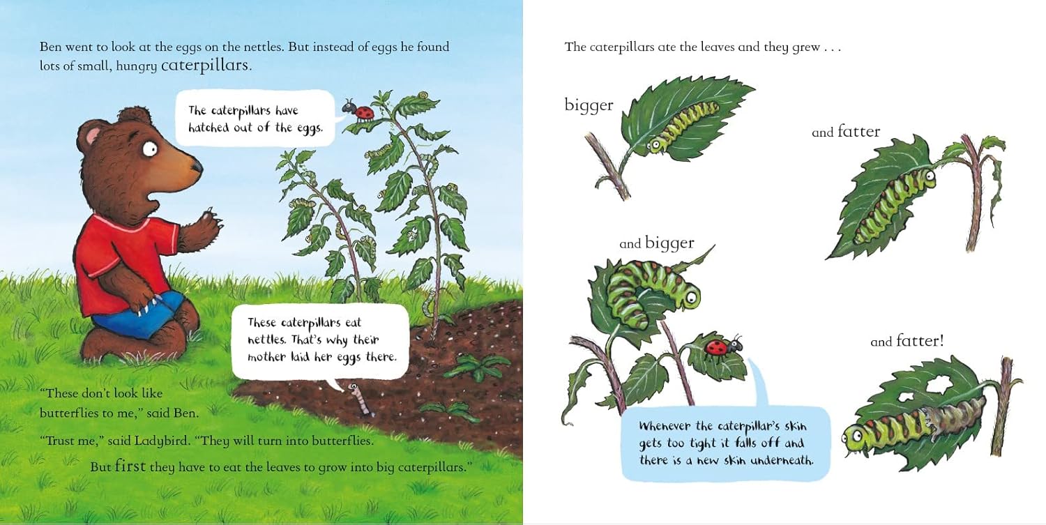 Ben Plants a Butterfly Garden Inside Nosy Crow Axel Scheffler 9781839941757