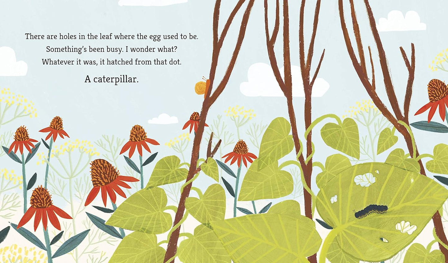 Caterpillar and Bean Pages Martin Jenkins Walker 9781406382716