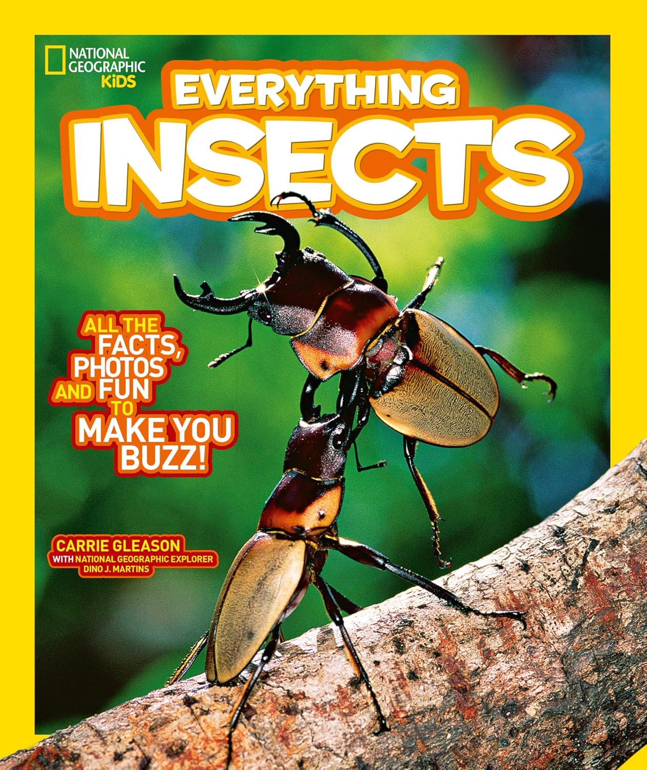 Everything: Insects Cover NGK HarperCollins 9780008267780
