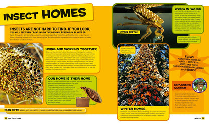 Everything: Insects Pages NGK HarperCollins 9780008267780