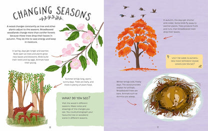 Exploring Woods Pages Jen Green Hachette 9781526327420