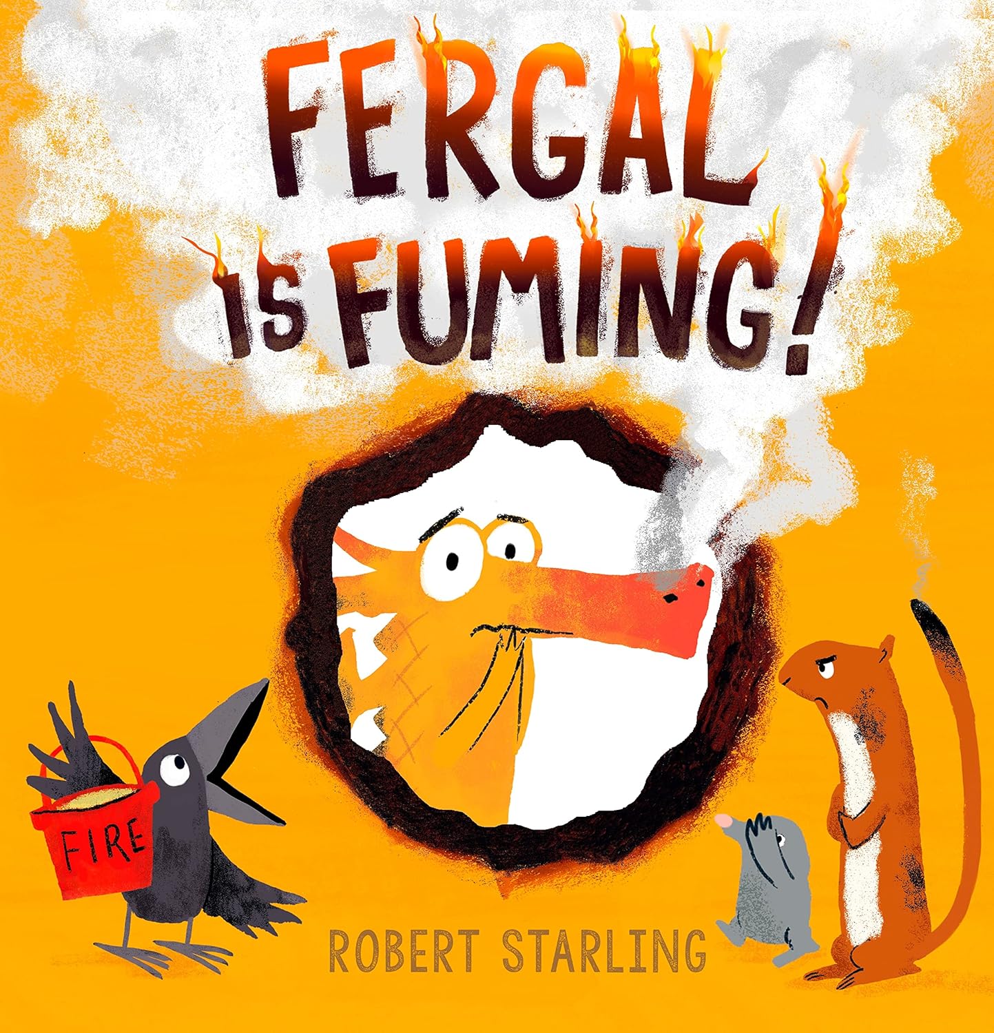 Fergal is Fuming Author Robert Starling Published Andersen Press 9781783445905