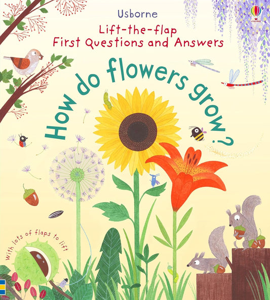 Flowers Grow Cover Katie Daynes Usborne 9781409582137