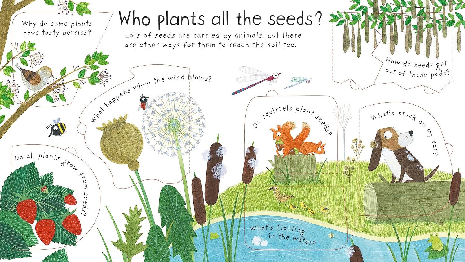 Flowers Grow Pages Katie Daynes Usborne 9781409582137