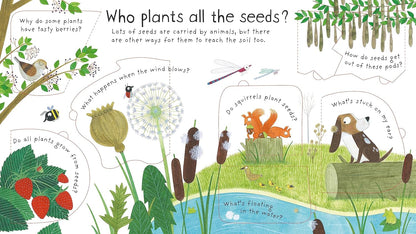 Flowers Grow Pages Katie Daynes Usborne 9781409582137