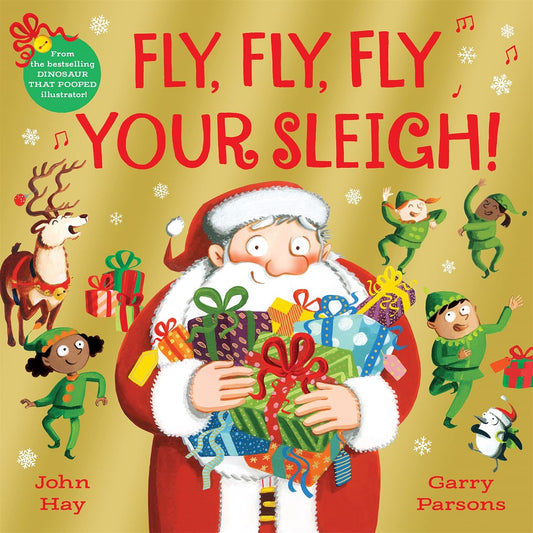 Fly, Fly, Fly Your Sleigh! Cover John Hay Pan Macmillan 9781529063165