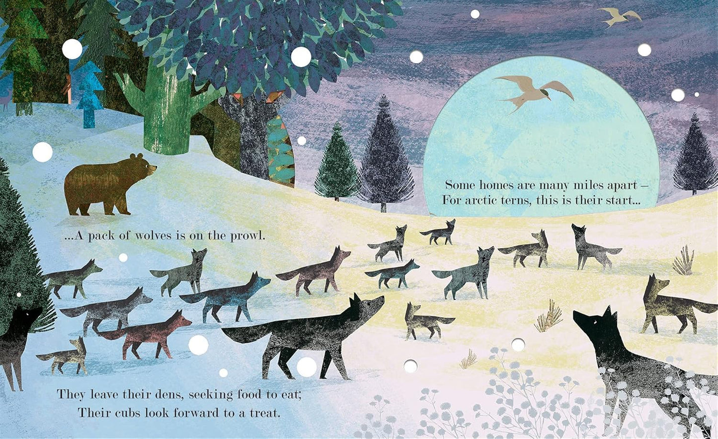 Home: where our story begins Pages Little Tiger Press Patricia Hegarty 9781801043298