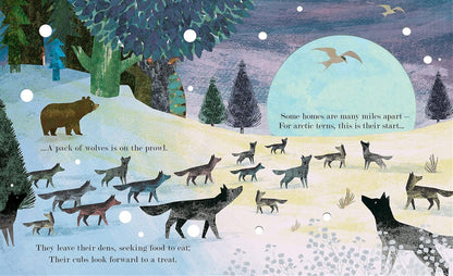 Home: where our story begins Pages Little Tiger Press Patricia Hegarty 9781801043298