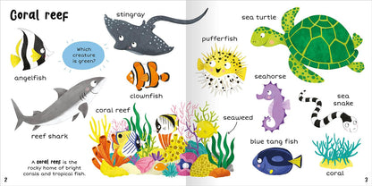 In the Sea Pages Becky Miles Published Miles Kelly 9781789895100
