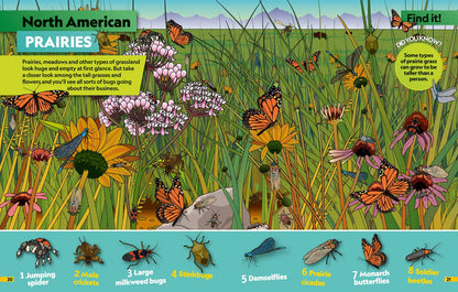 Insects Pages NGK HarperCollins 9780008554378