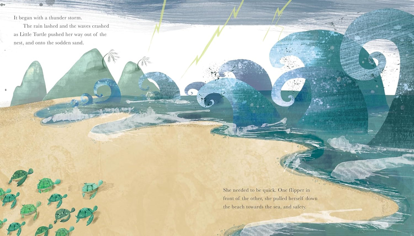 Little Turtle and the Sea Pages Becky Davies Little Tiger Press 9781788815819