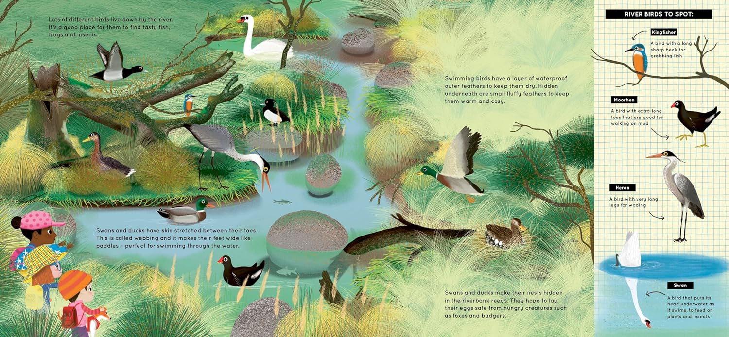 Look What I Found by the River Inside Nosy Crow  Moira Butterfield 9781839940781