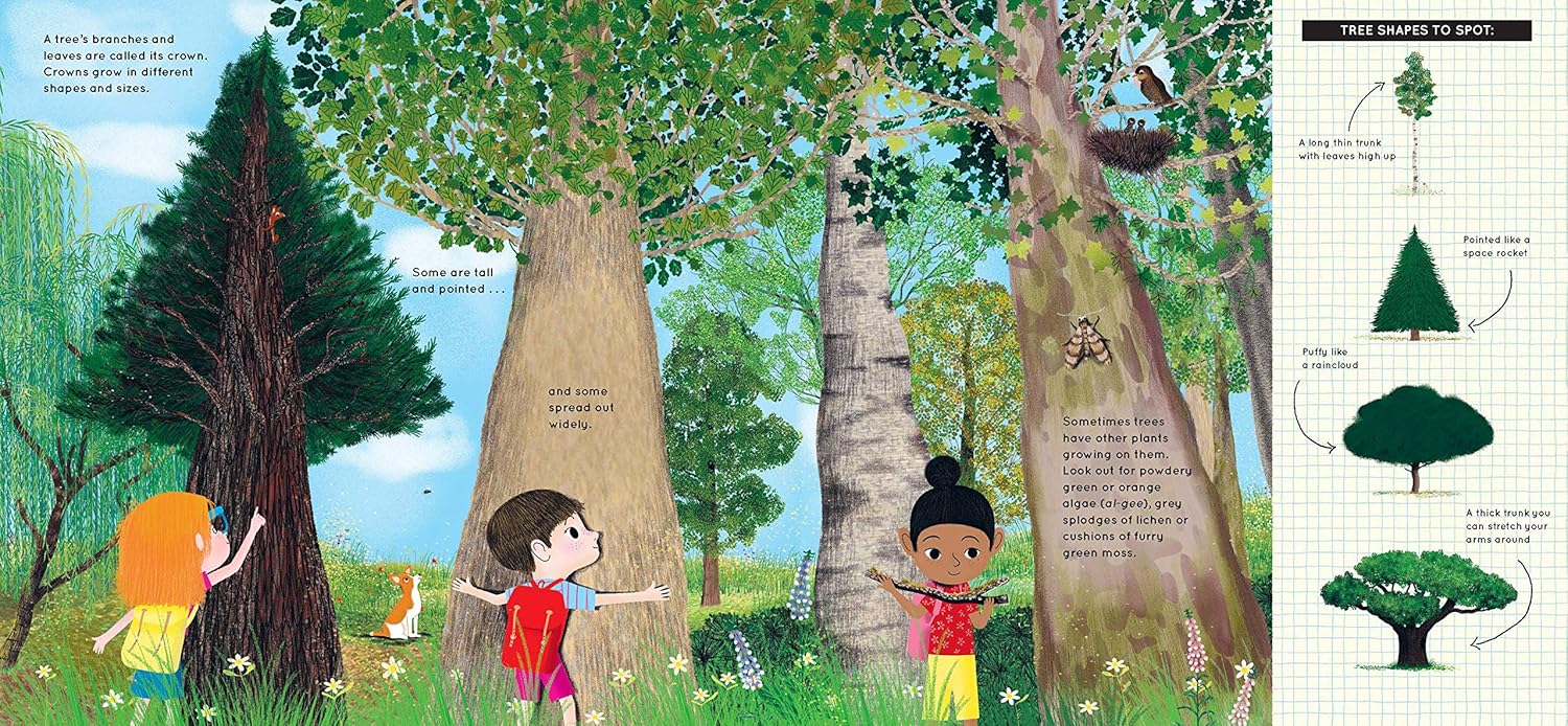 Look What I Found in the Woods Inside Nosy Crow Moira Butterfield 9781788005012