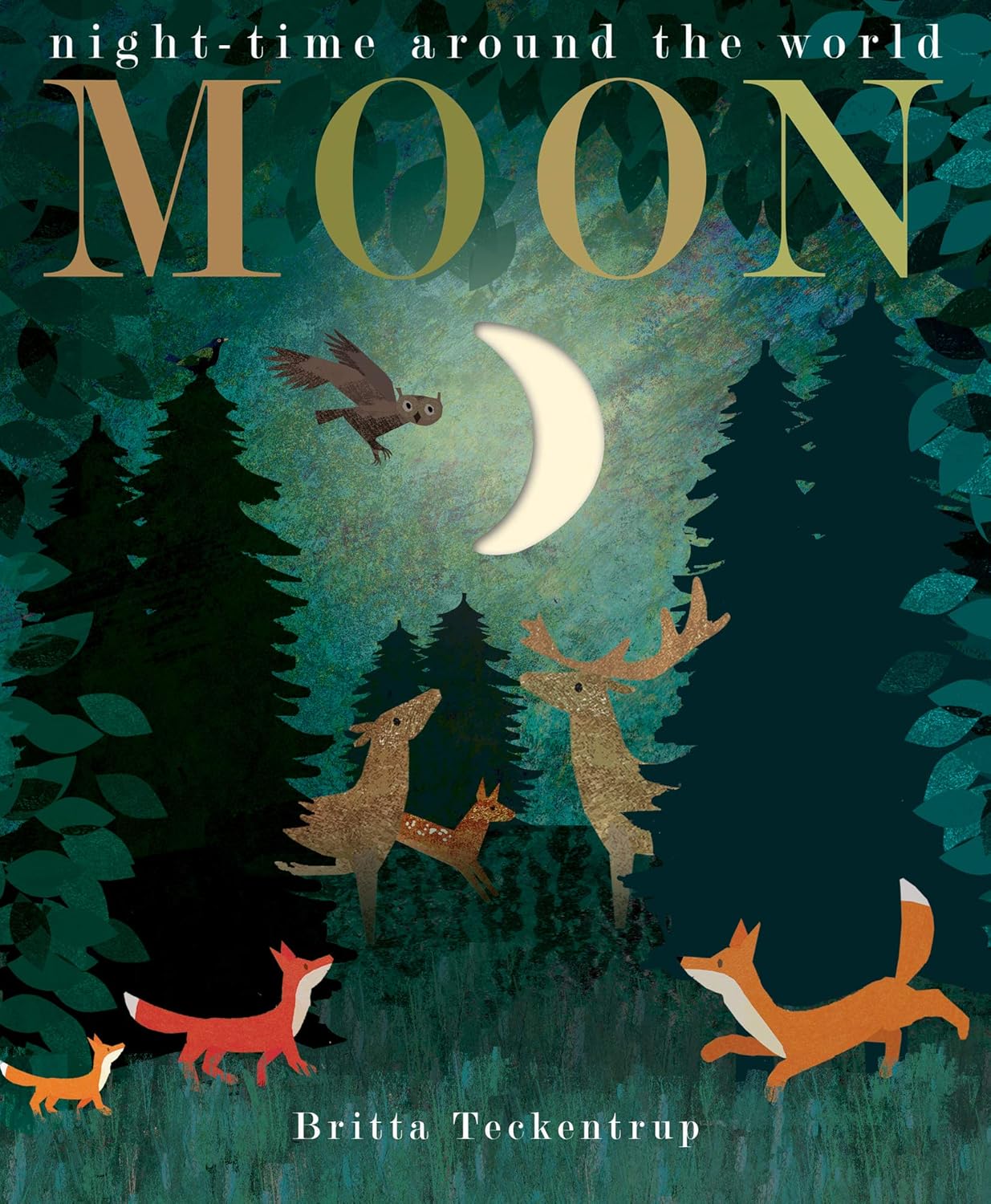 Moon Cover Patricia Hegarty Little Tiger Press 9781848696679
