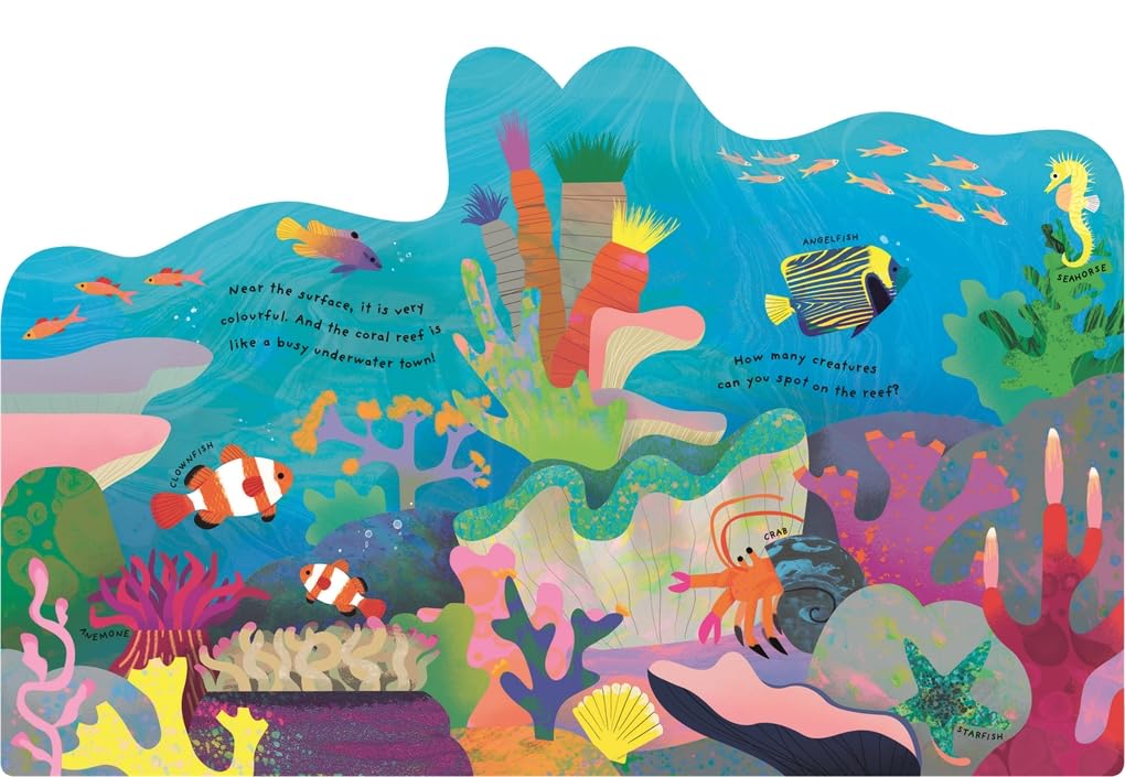 Ocean Pages Natasha Durley
Templar 9781800782082