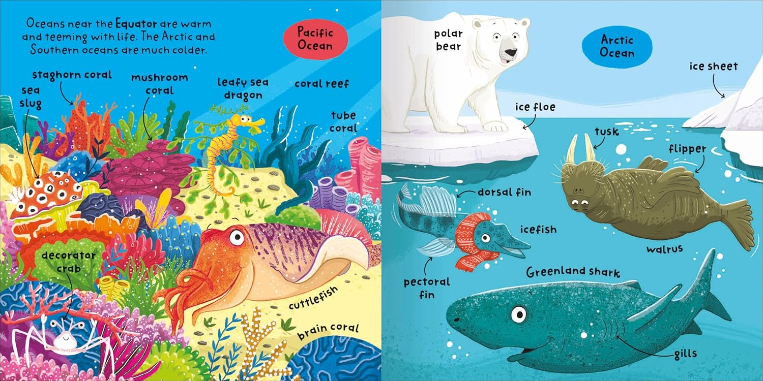 Oceans Pages Miles Kelly 9781789897586 Fran Bromage