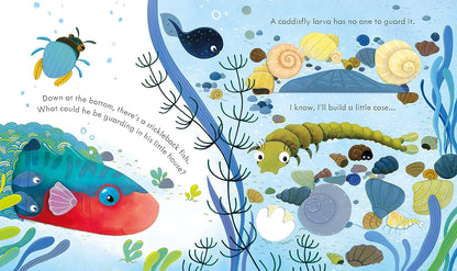 Peep Inside the Pond Pages Anna Millbourne Usborne 9781803703350