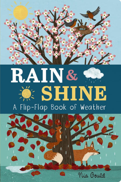 Rain & Shine Cover Nia Gould Little Tiger Press 9781801044578