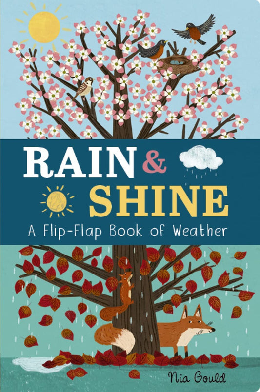 Rain & Shine Cover Nia Gould Little Tiger Press 9781801044578