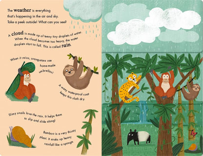 Rain & Shine Pages Nia Gould Little Tiger Press 9781801044578